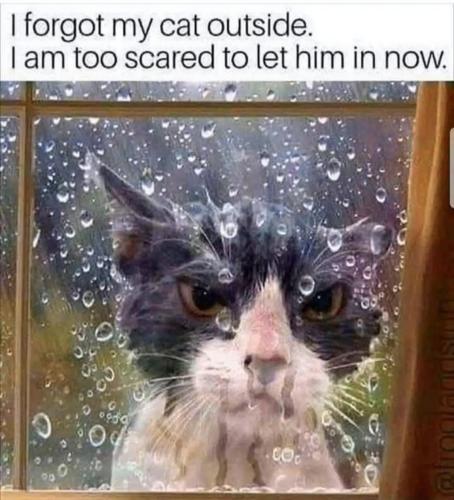 20:11:02 GMT-0400 (Eastern Daylight Time).image