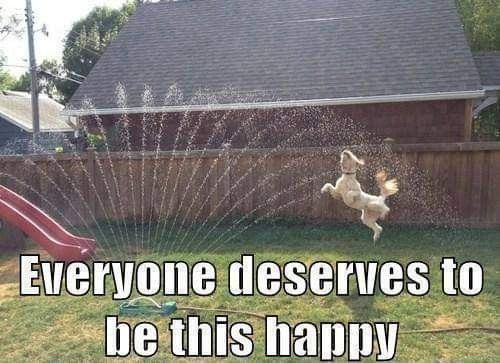 787946f2887161dfdf74f231b5b1c8f1