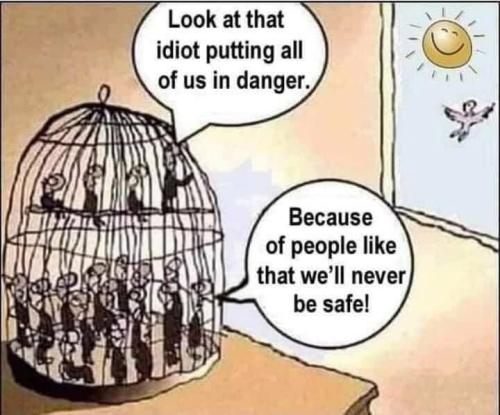 putting-us-in-danger