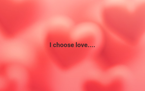 Screenshot 2025-08-12 11.51.16 AM