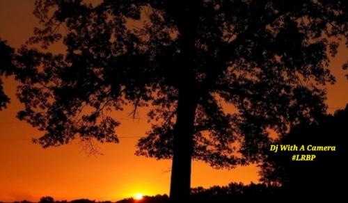 Screenshot_20250814_154126_Gallery