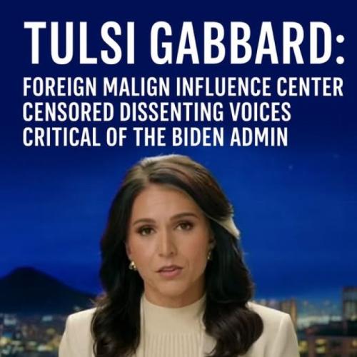Tulsi Gabbard 2