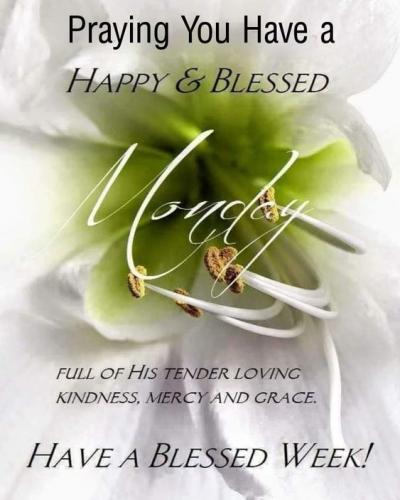 529305654_778281478039534_2913868120492387308_n