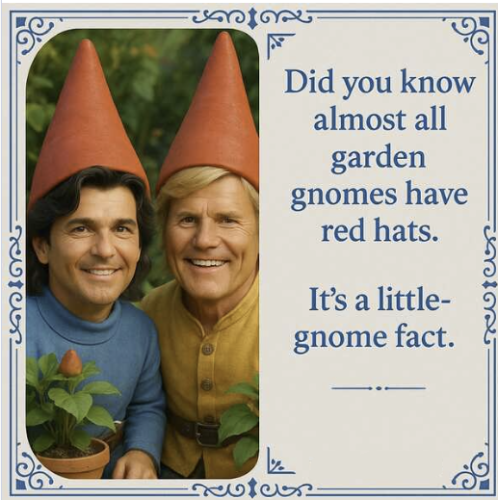 garden-gnomes