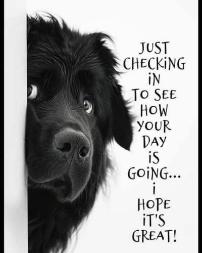 527469704_1068733475375619_1113752871250412702_n