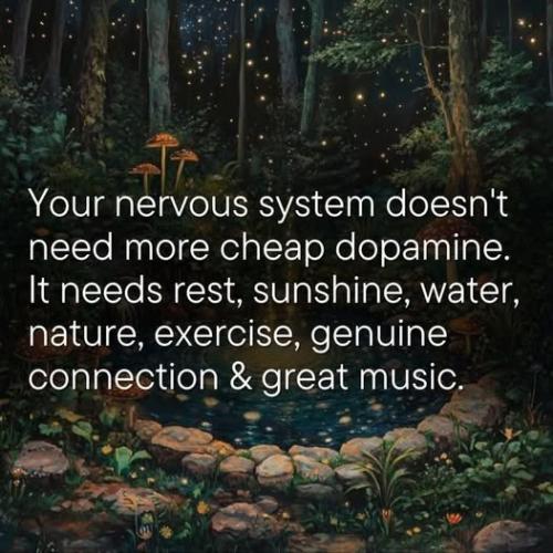 540576848_24531581503102401_2616273133351787699_n