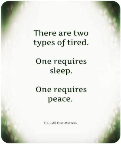 538064915_10214101534888937_8875620046814525274_n