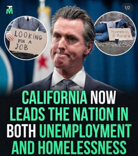 Screenshot 2025-08-17 130249