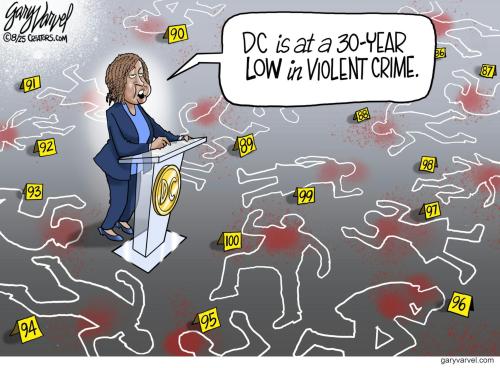 DEMOCRAT CITY CRIME