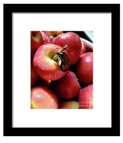 Screenshot_20250808_122345_Brave