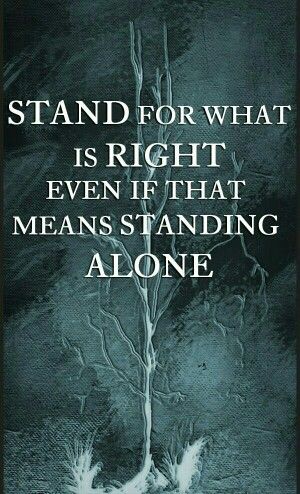 11979e727a04121224e257e3cdba8b95