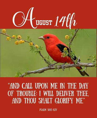 532158344_780604204473928_3586292216588841214_n