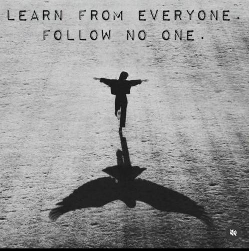 955216a64ffd65bd61ee19164061293b