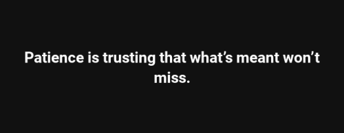 Screenshot 2025-08-15 12.11.13 PM