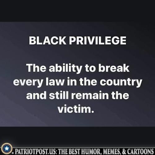 01K3HTJ4100BVVVA3B1WES40Q7