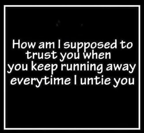 IMG_20250803_131901_508