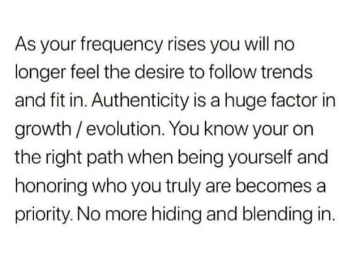 533727401_772691648980363_8911525708110288033_n