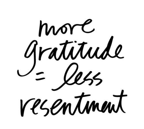 41fdc257c813e2a6a7687d65a1e52620