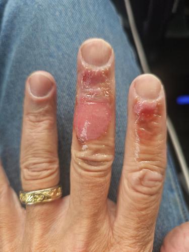 98a9b617-1266-4607-98c9-893fb416f623