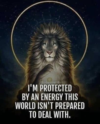 b81682736e274a6e5217f66135dd9825