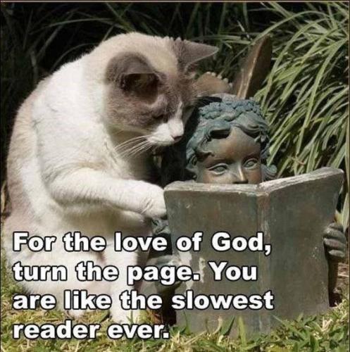 love-god-turn-page-are-like-slowest-reader-ever