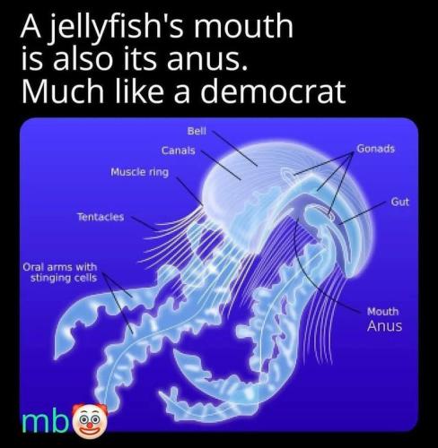 7c0b1b08f04ea90341cb741a8cd2372f