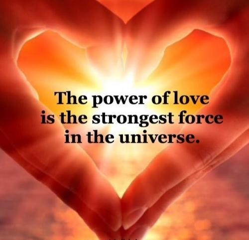 479dc1afe1a9aaf19b923a29569f7b91