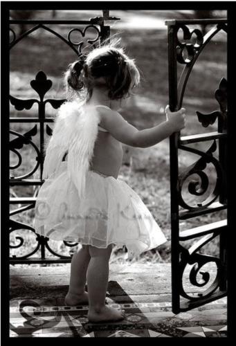 efa7f40cd46270fc79030f4f716d727f