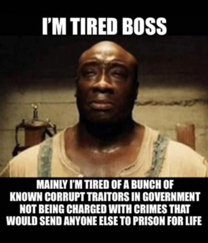 IMG_20250804_034449_959