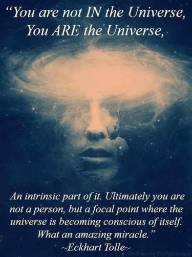 ,     ,           328625073_1312793