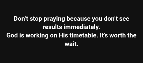 Screenshot 2025-08-12 3.46.13 PM