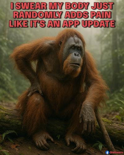 20250818_140715