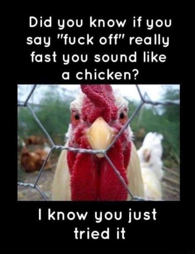 FB_IMG_1754278292298