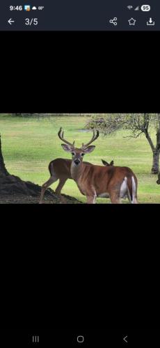 3cd489f4-2ab5-4437-9c44-6c4eda62eb0f