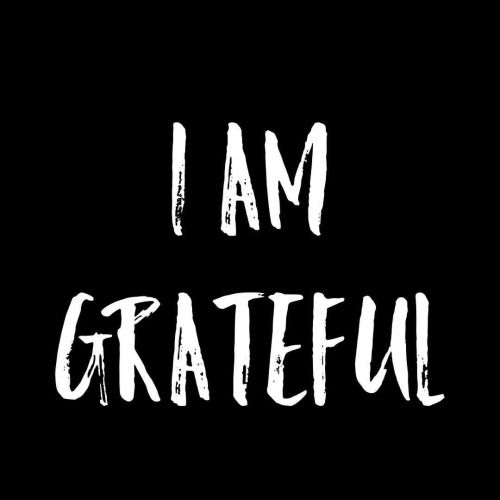 1351c41bc340d5f630485a91d06437ec