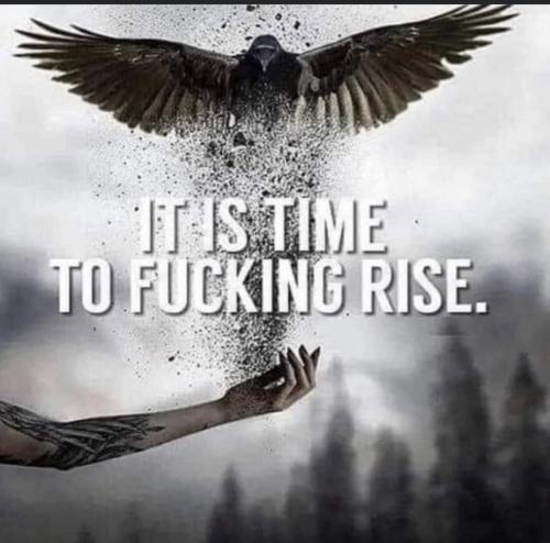 50c5342ad8757757341b27497e4b2bc4