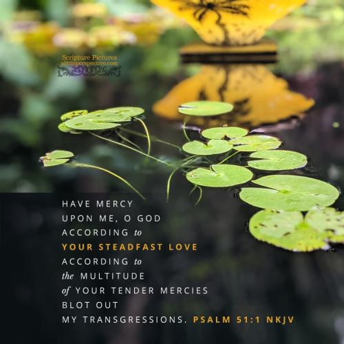 psa-51-1-NKJV-zanecarrick