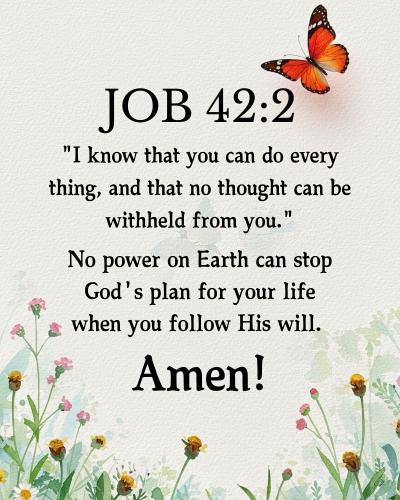 539144347_122123072660936595_8531218435481187273_n