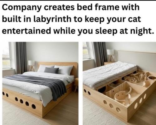 bed frame