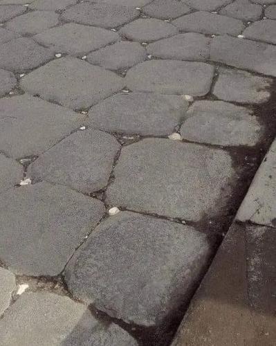473582853_1264856334777870_6466314131595814628_n