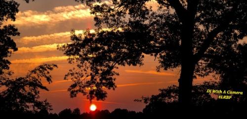 Screenshot_20250804_195438_Lightroom