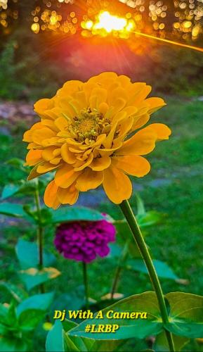 Screenshot_20250806_060454_Gallery