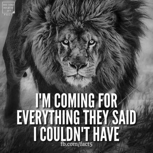 ad4150380bbb406783c20a564edf86cf