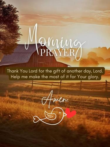 527997491_774429585091390_1979172265928417603_n