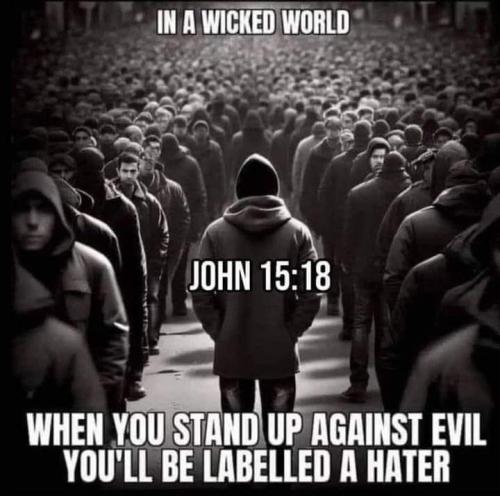 0da8e73c8f5ae3e9c760423db8226ef6