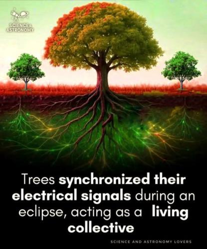 530854136_640653435744495_7559279905678698590_n