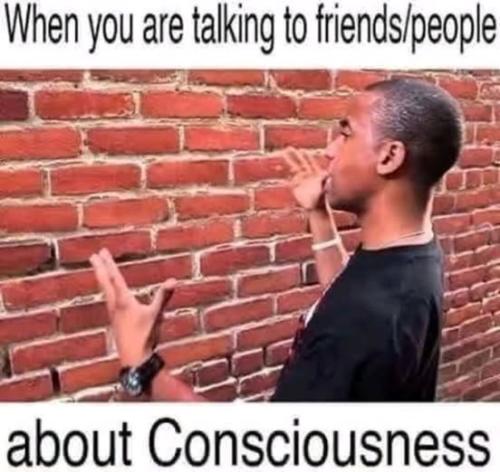 529729506_4241891582803901_5818794685766613220_n