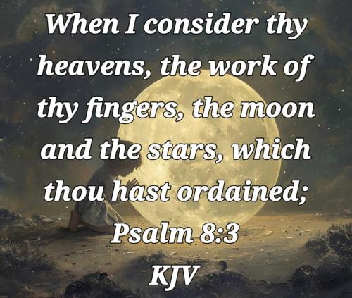 3e6c3673-b36e-46fb-98c1-9d433dfdec96