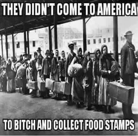 bitch-and-collect-foodstamps