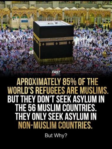 IMG_20250817_082126_738